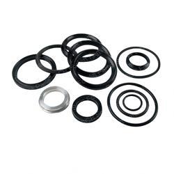 SEAL KIT - TILT CYLINDER (Yale YT250937)