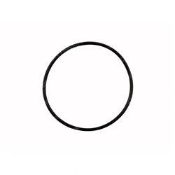 O-RING - STROBE (Nissan NICK25K040316)