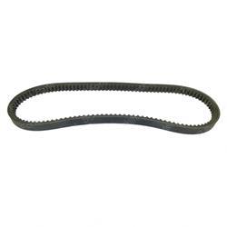 BELT ONE ONLY (Yale YT024101000)