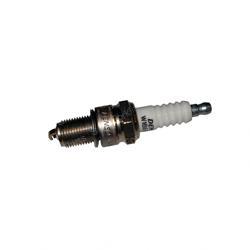 PLUG - SPARK (Clark CL-1239919)