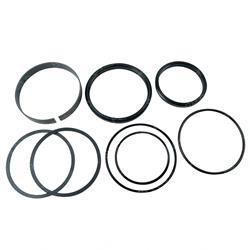 SEAL KIT - HYDRAULIC CYLINDER (Yale YT250555)