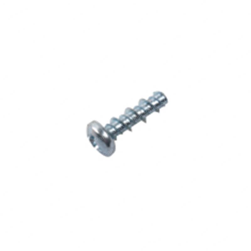 SCREW - THREAD FORMING CT3101046910 ct3101046910 product image