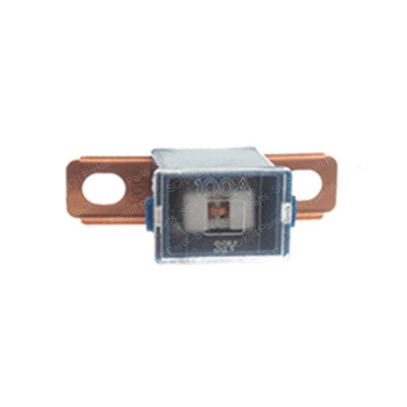 FUSE 100A NI24319-FK160 ni24319-fk160 product image