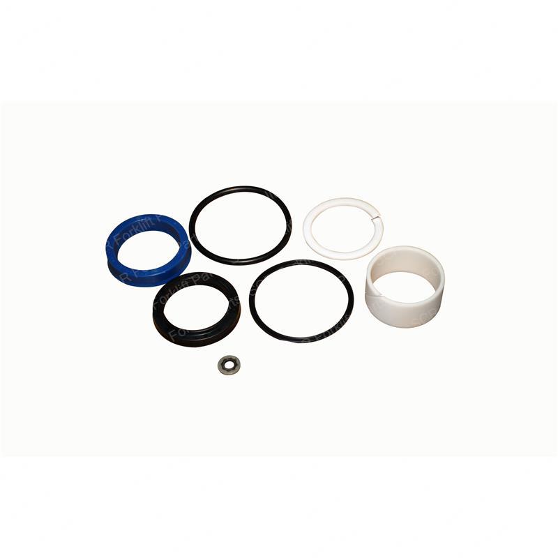 SEAL KIT - HYDRAULIC CYLINDER DWYT5800250-48 dwyt5800250-48 product image