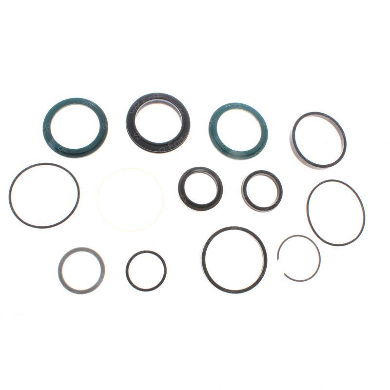 SEAL KIT - HYDRAULIC CYLINDER JLGN94253 jlgn94253 product image