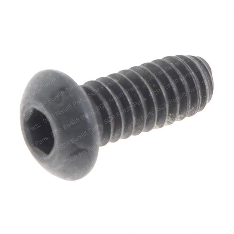 SCR,BHSC .25-20 X .62 LK NI29174-FS000 ni29174-fs000 product image