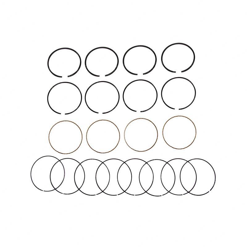 PISTON RING SET 4 CYL 0.25 DWMBMD195851 dwmbmd195851 product image