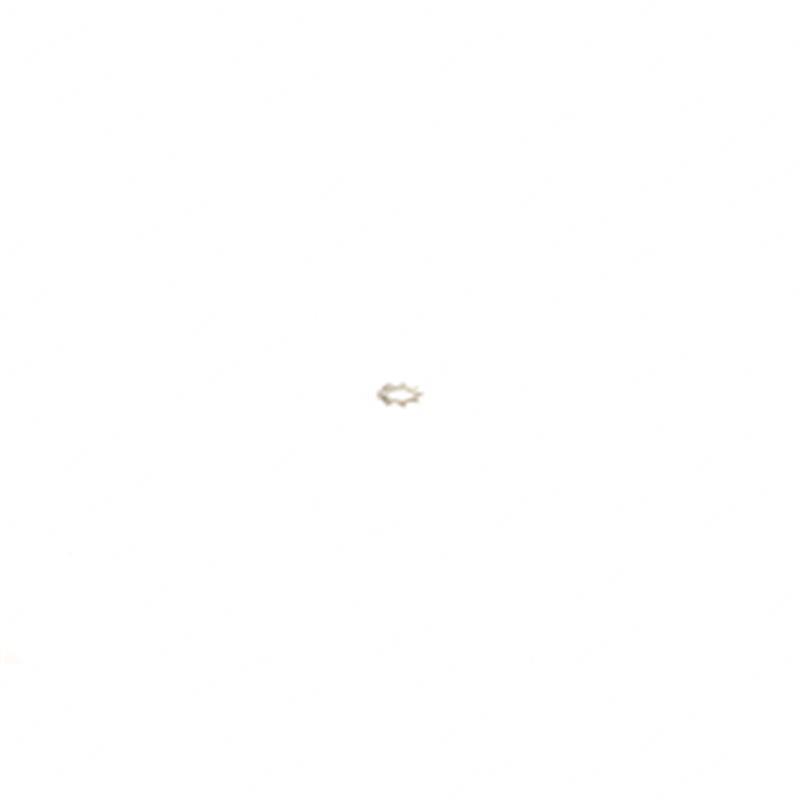 LOCKWASHER EXT TYPE #2 TY005904102371 ty005904102371 product image