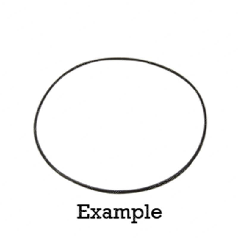 O-RING YT18973 yt18973 product image