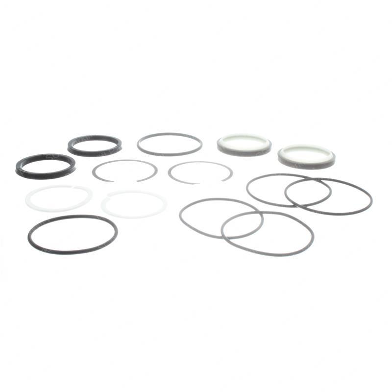 SEAL KIT -  POWER STEERING DWYT901982851 dwyt901982851 product image