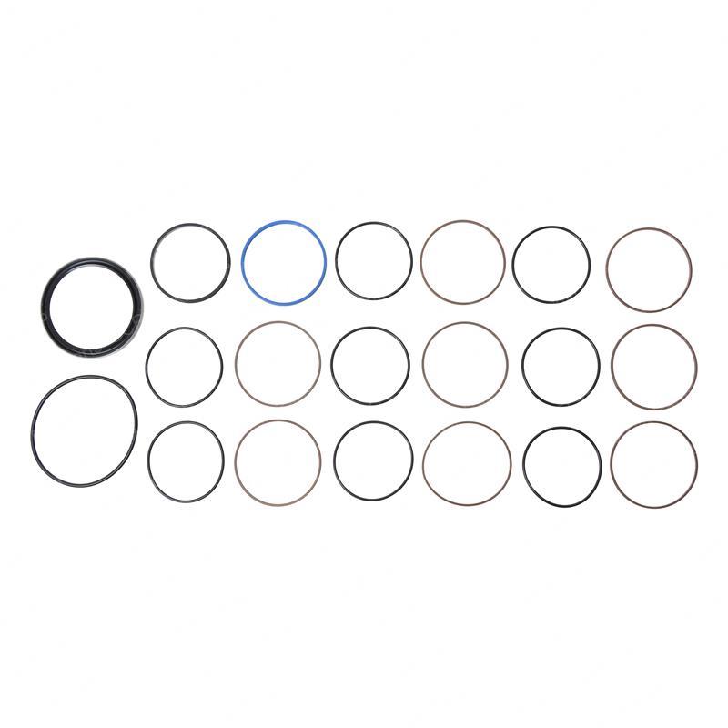 SEAL KIT - SWIVEL JOINT CL6664908 cl6664908 product image