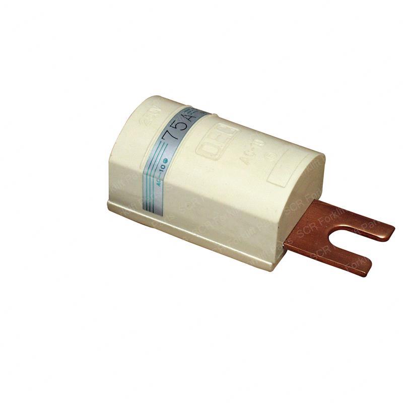 FUSE 75A NI29653-L4010 ni29653-l4010 product image