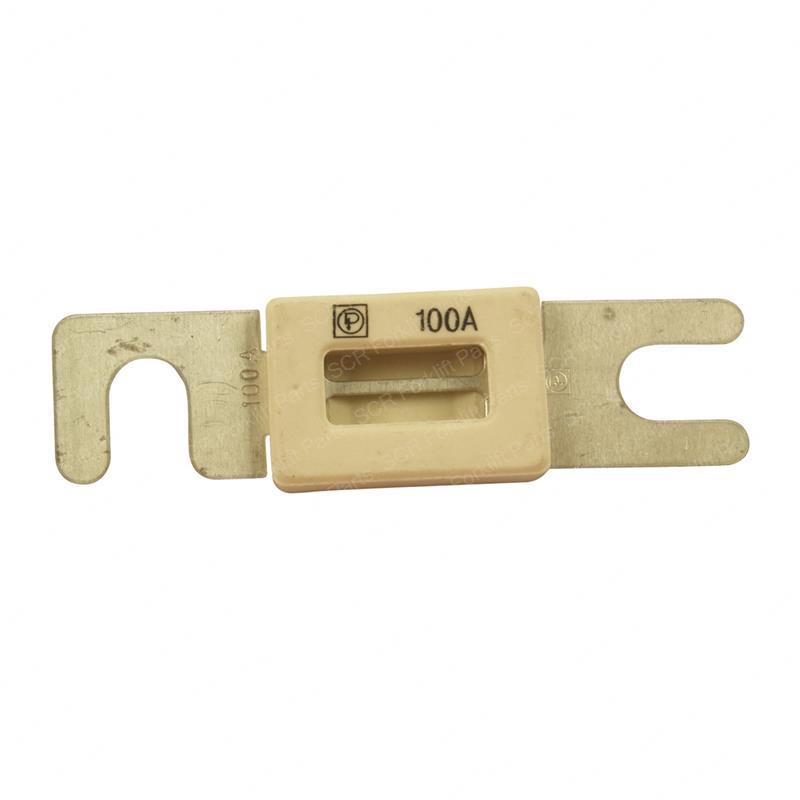 FUSE 100A DWOU48LF-100AMP dwou48lf-100amp product image