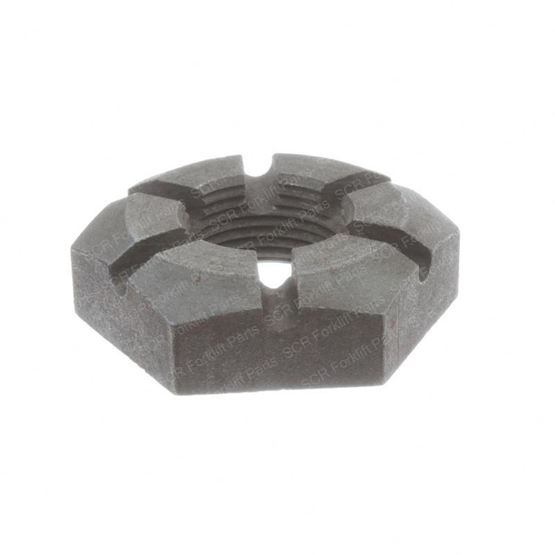 NUT - SPECIAL CL00113425 cl00113425 product image