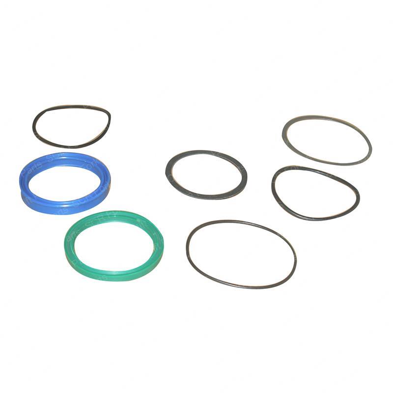 SEAL KIT - LIFT CYLINDER NICK1813269 nick1813269 product image