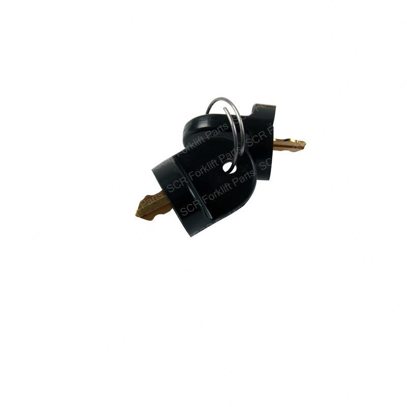 KEY SET OF TWO SY1244539 sy1244539 product image