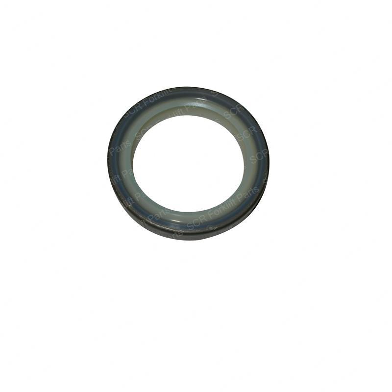 SEAL - WIPER CT1K6981 ct1k6981 product image