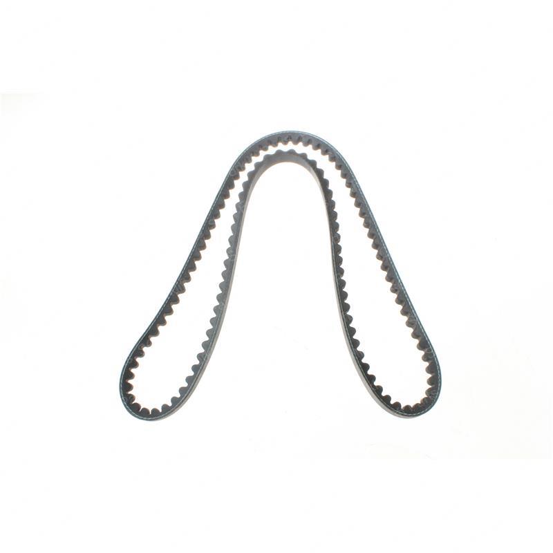 BELT - FAN LI12182225019 li12182225019 product image