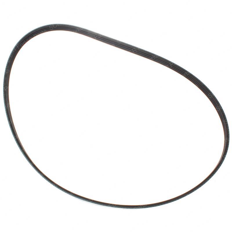 VR- BELT- RIBBED V HN800271 hn800271 product image