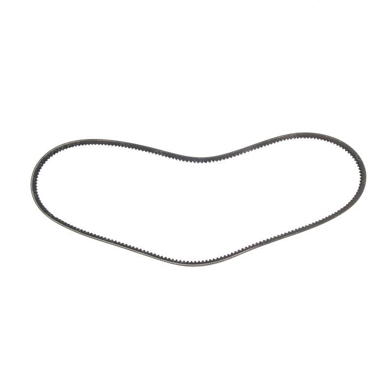 BELT - FAN NICK2373888 nick2373888 product image